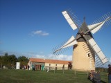 100_1061.JPG
